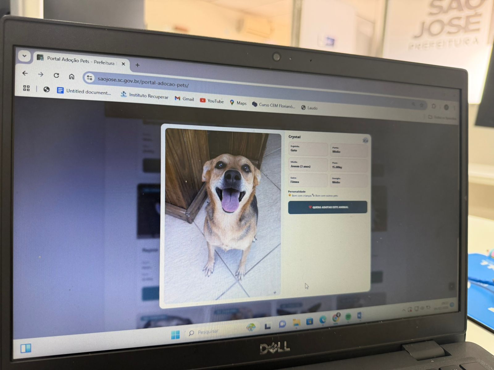 Prefeitura Municipal De São José