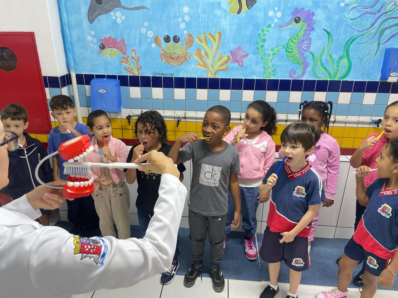 Prefeitura Municipal De São José