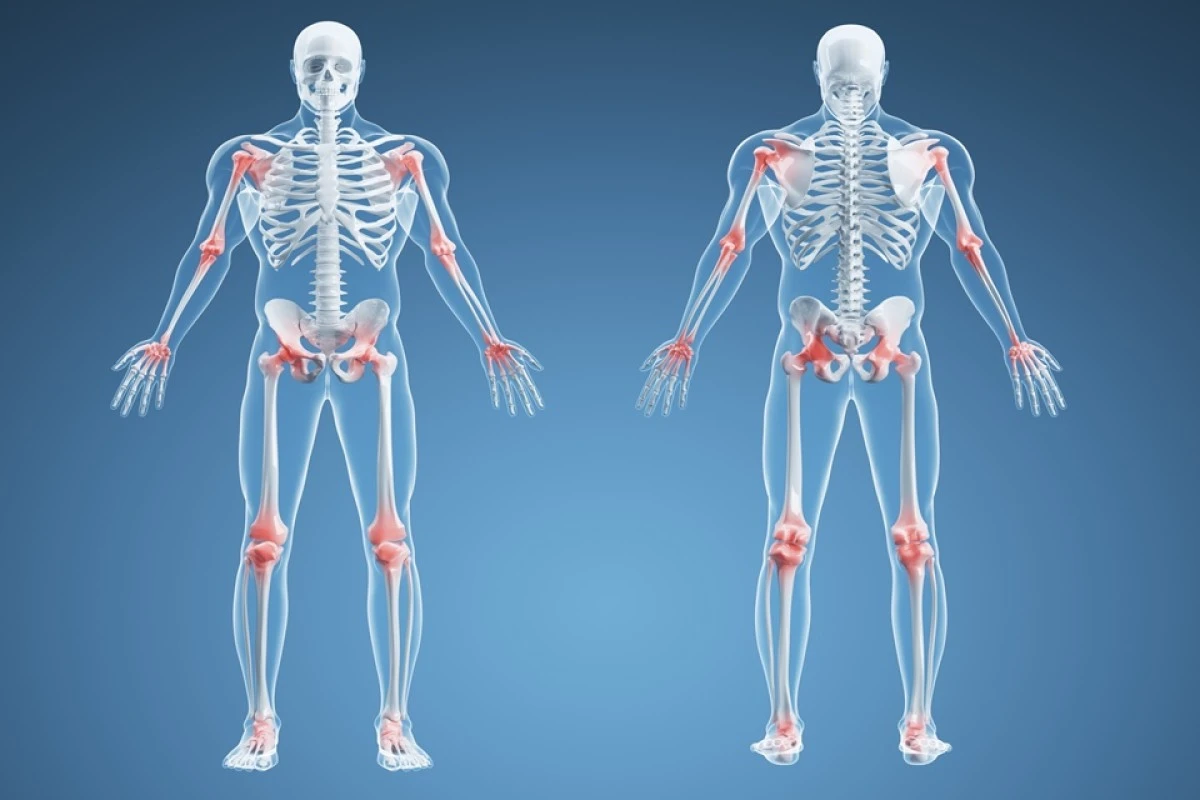 1 de 1 corpo humano - Foto: Getty Images