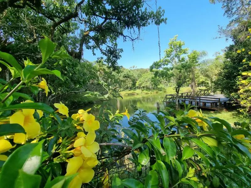 Prefeitura Municipal De São José