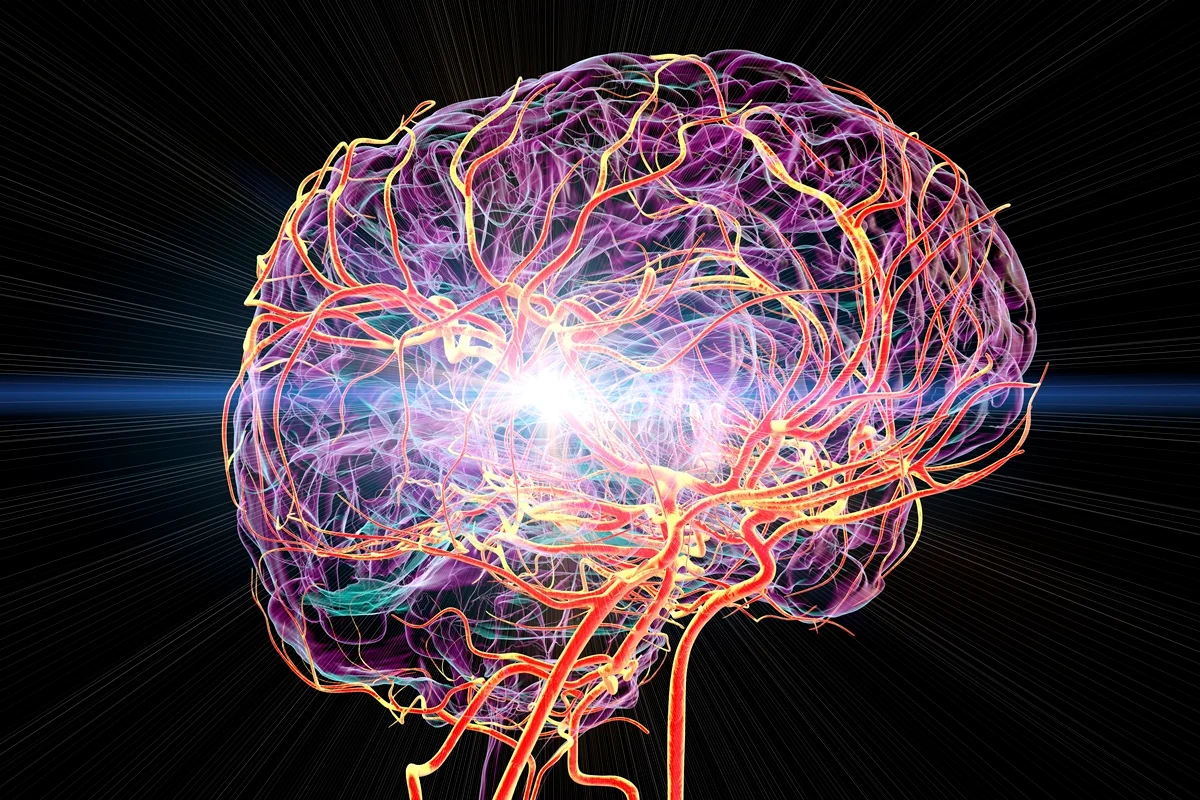 KATERYNA KON/SCIENCE PHOTO LIBRARY/Getty Images