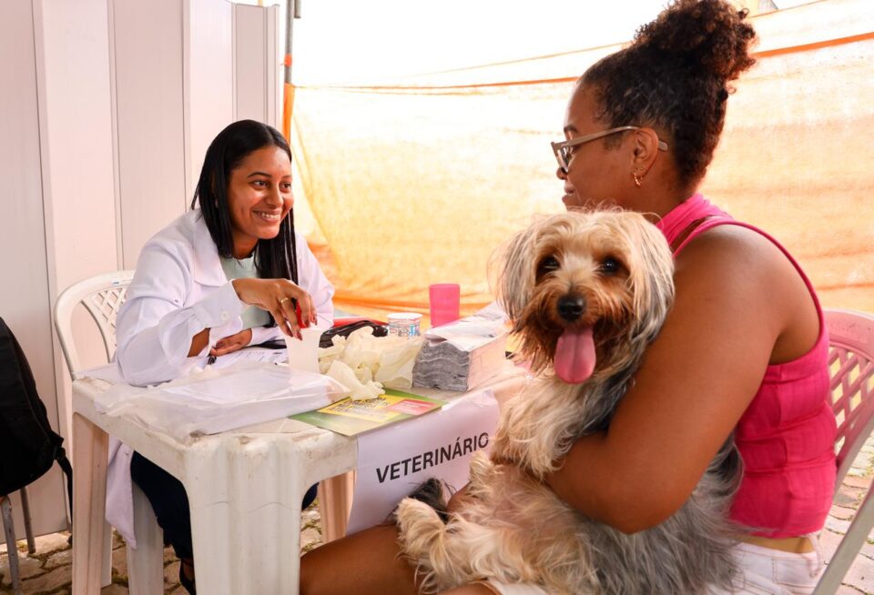 Feira da Freguesia terá atendimento gratuito para moradores e pets neste domingo – Prefeitura ...