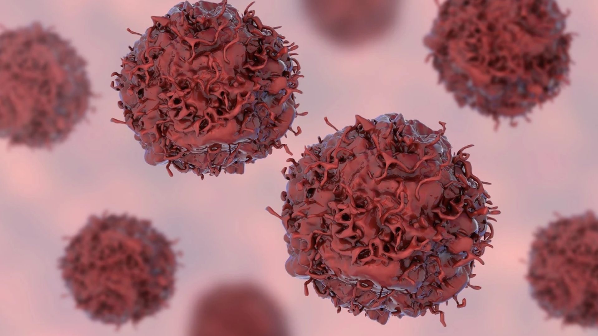1 de 1 Ilustração colorida de células cancerígenas - 40% dos casos de câncer poderiam ser ev...