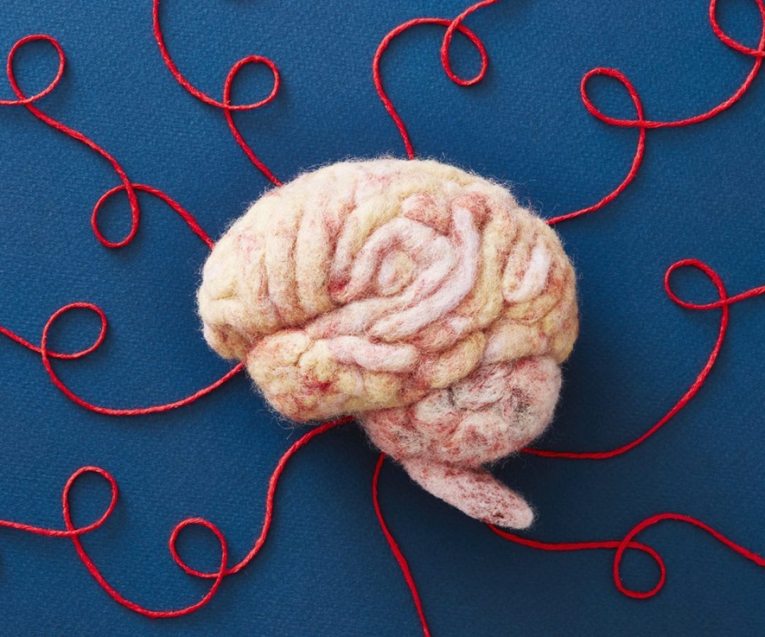 1 de 1 Foto mostra modelo de cérebro humano feito com linhas e tecido - - Foto: Richard Drury/Ge...