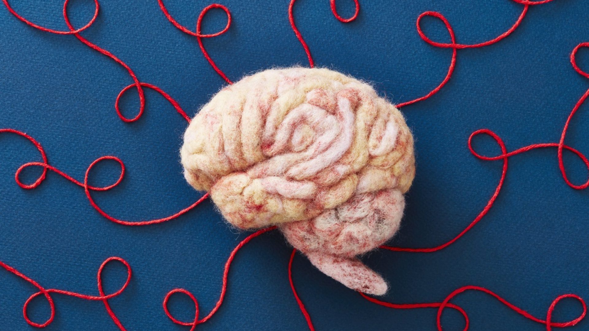 1 de 1 Foto mostra modelo de cérebro humano feito com linhas e tecido - - Foto: Richard Drury/Ge...