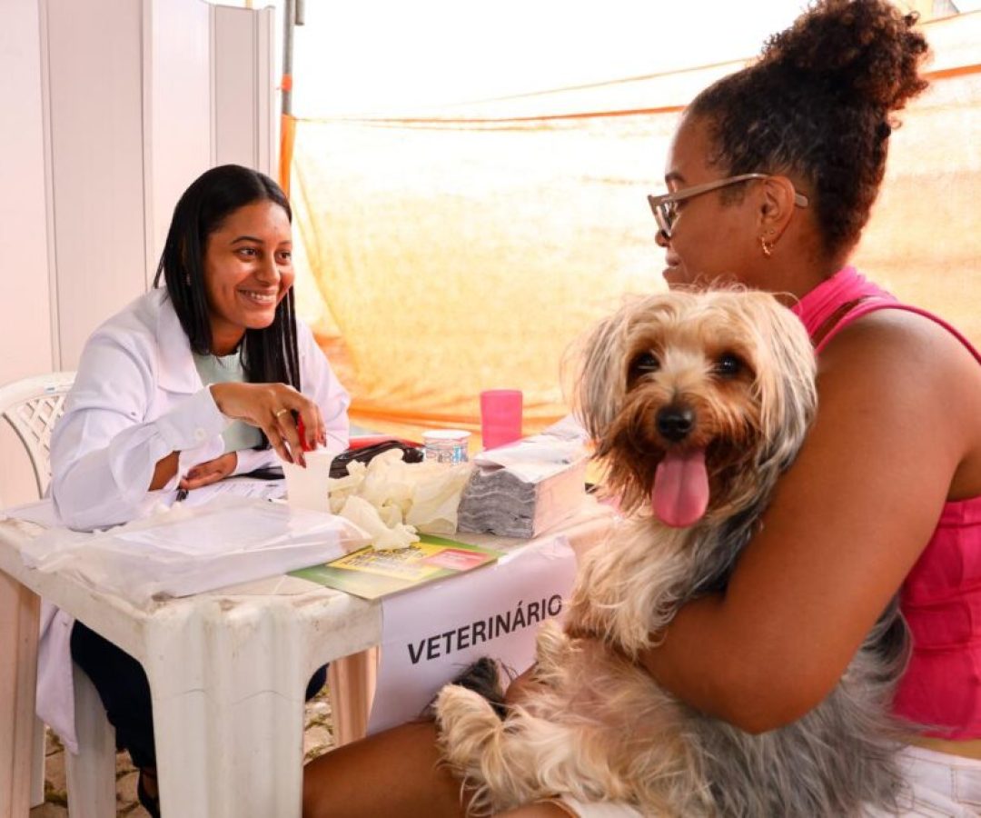 Feira da Freguesia terá atendimento gratuito para moradores e pets neste domingo – Prefeitura ...