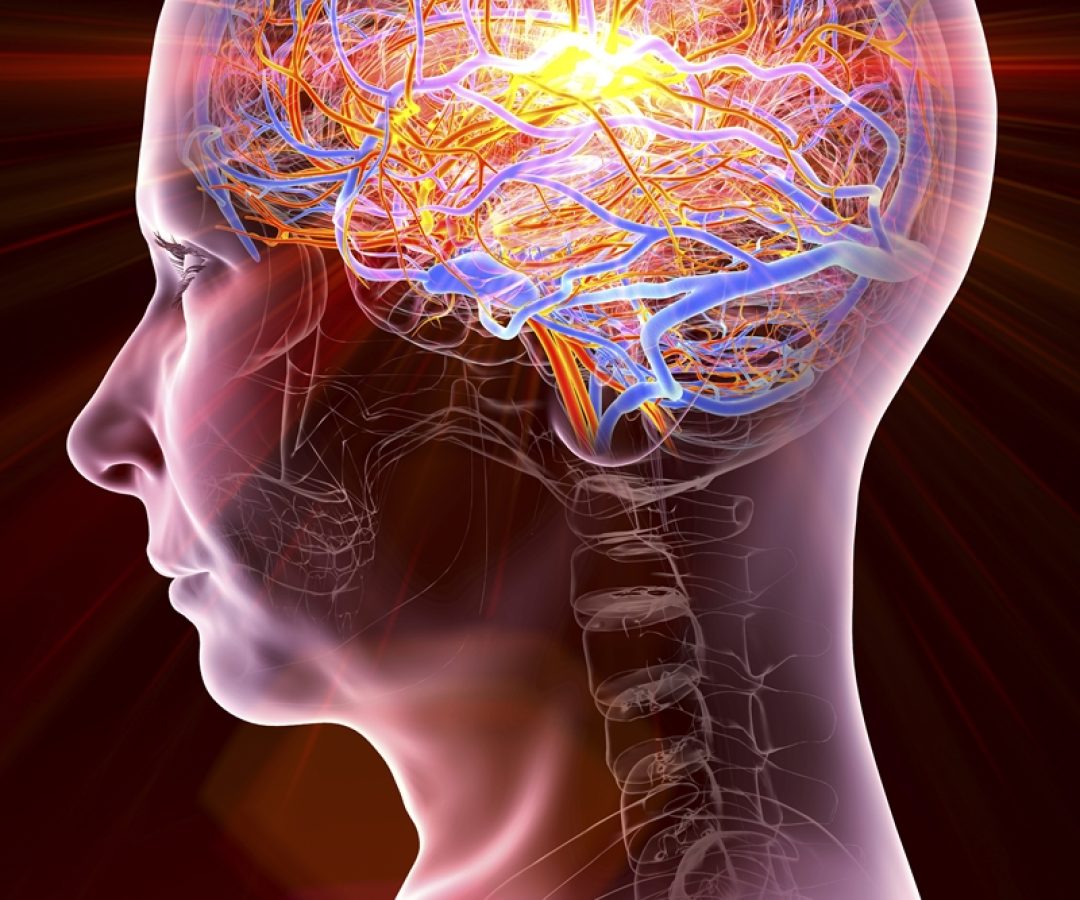 1 de 1 Ilustração colorida de tronco humano - Metrópoles - Foto: KATERYNA KON/SCIENCE PHOTO LI...