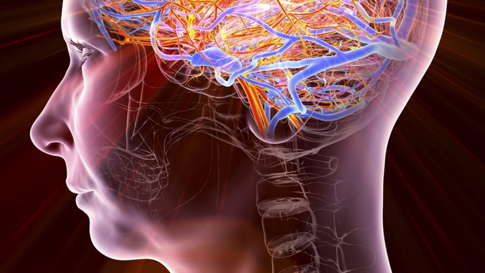 1 de 1 Ilustração colorida de tronco humano - Metrópoles - Foto: KATERYNA KON/SCIENCE PHOTO LI...