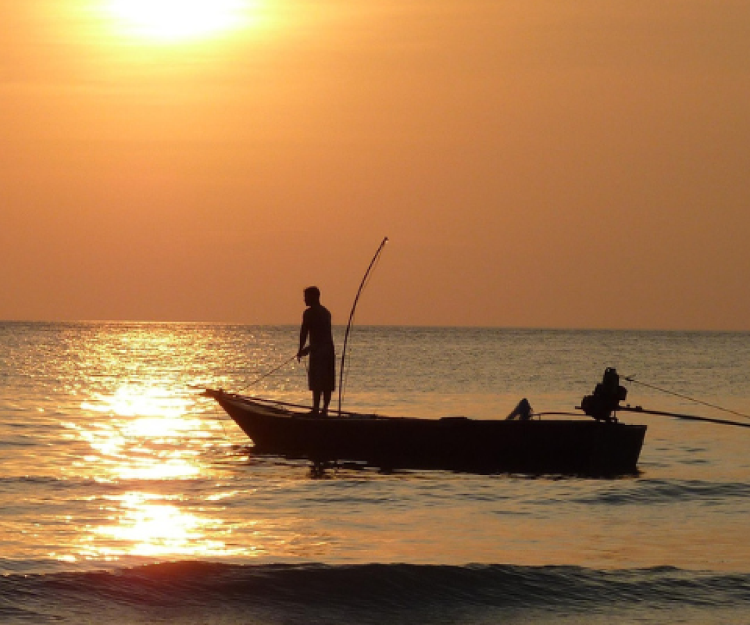 Prefeitura Municipal De São José
