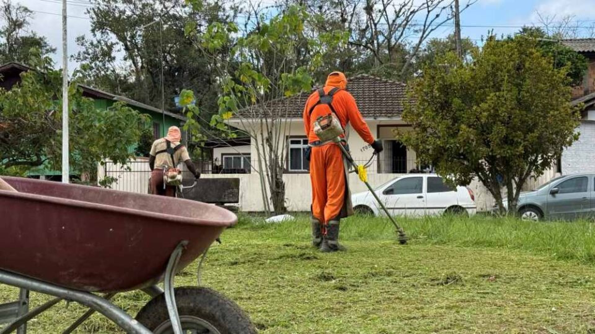 Cronograma por regiões