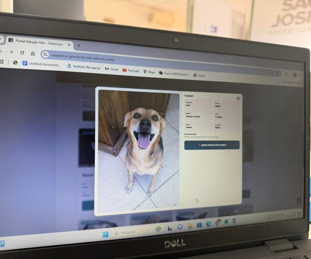 Prefeitura Municipal De São José