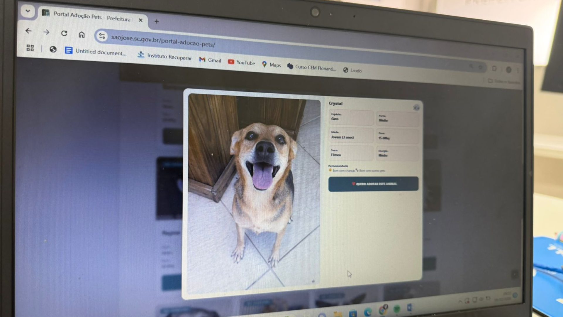 Prefeitura Municipal De São José