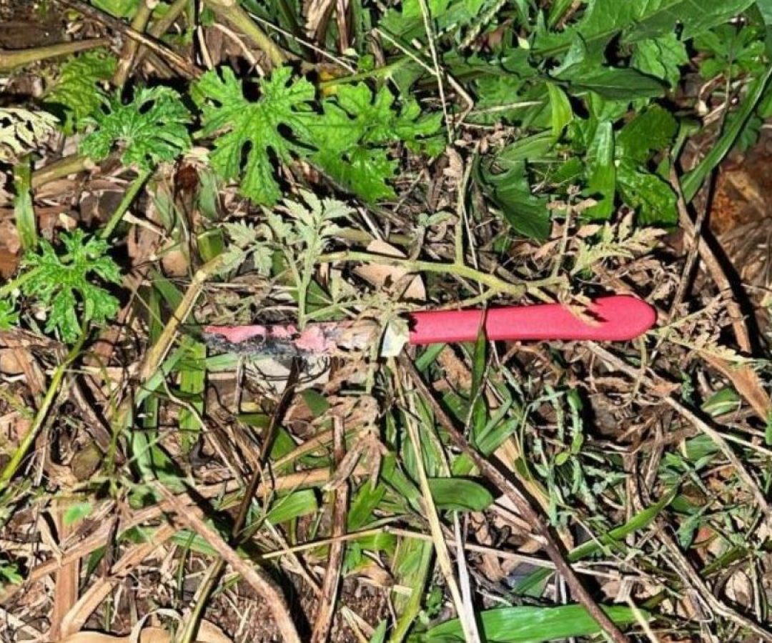 X.com/ReproduÃ§Ã£o/ND Mais