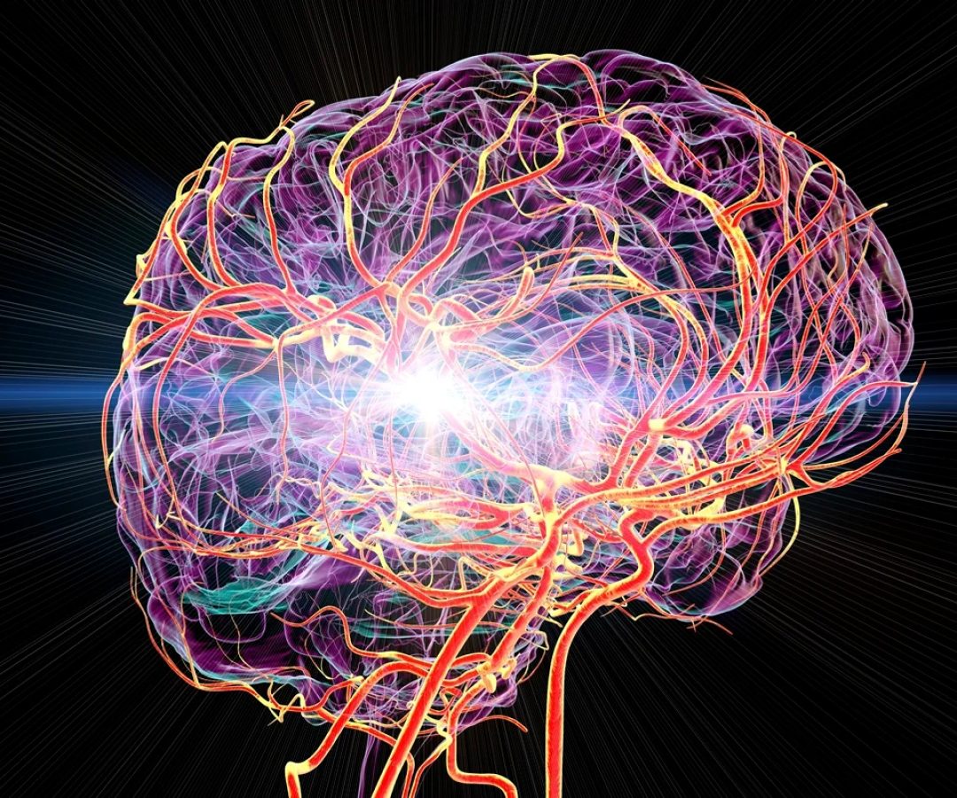 KATERYNA KON/SCIENCE PHOTO LIBRARY/Getty Images