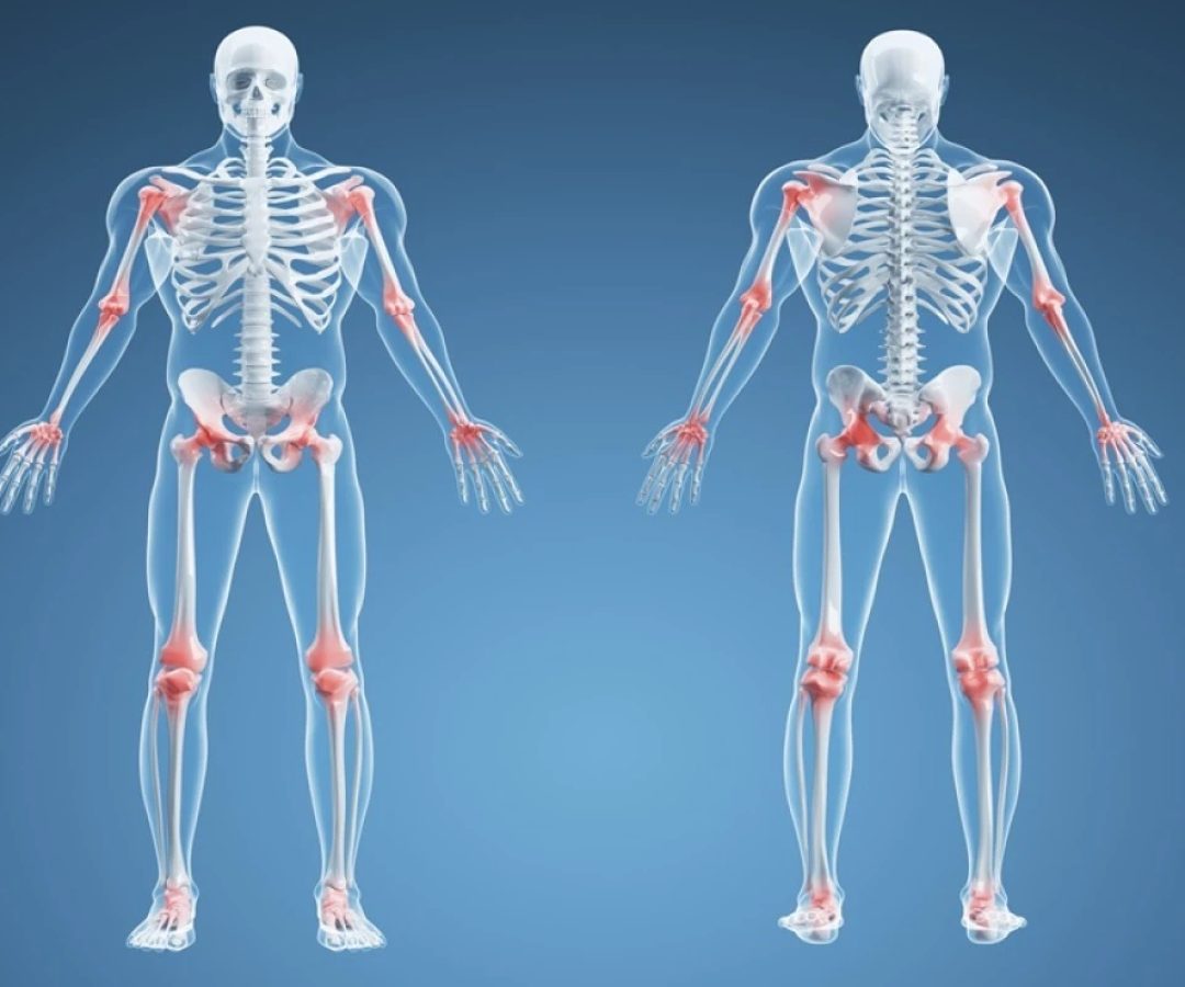 1 de 1 corpo humano - Foto: Getty Images