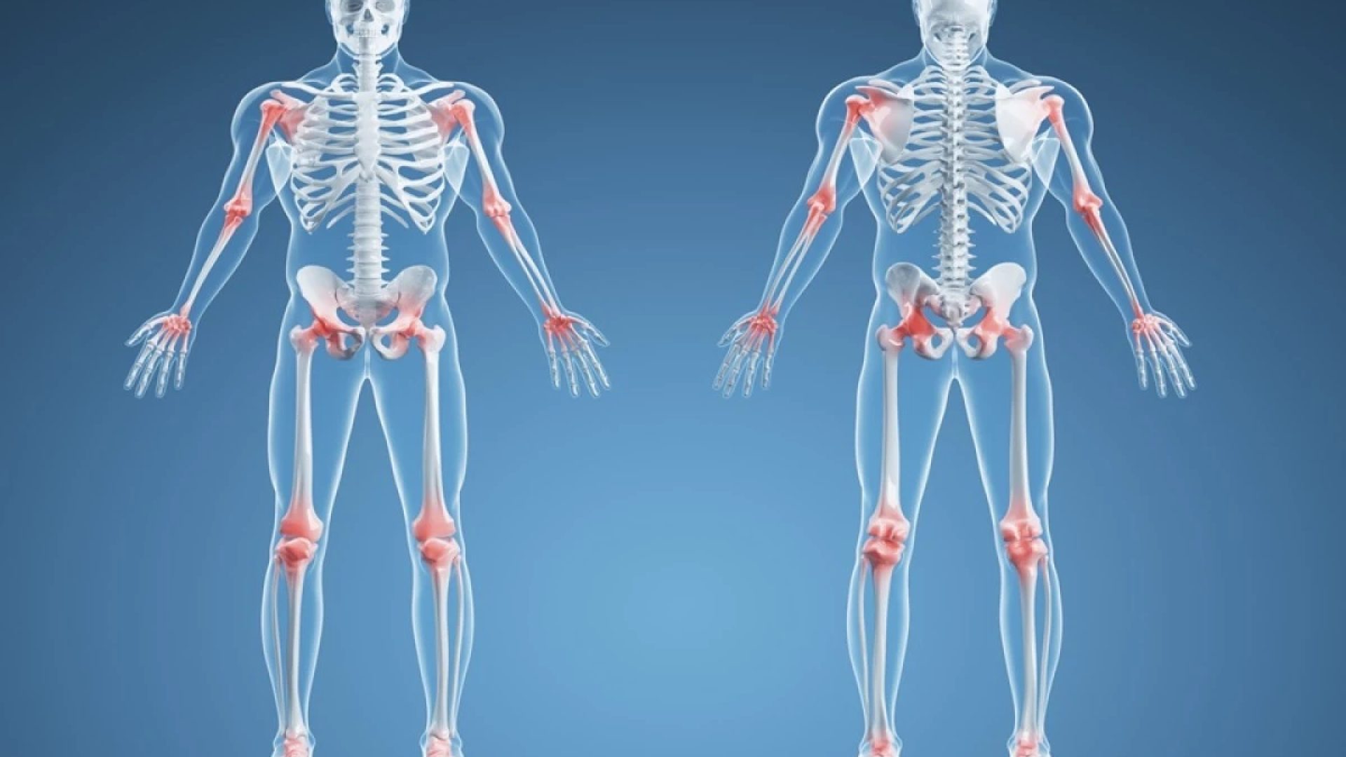 1 de 1 corpo humano - Foto: Getty Images