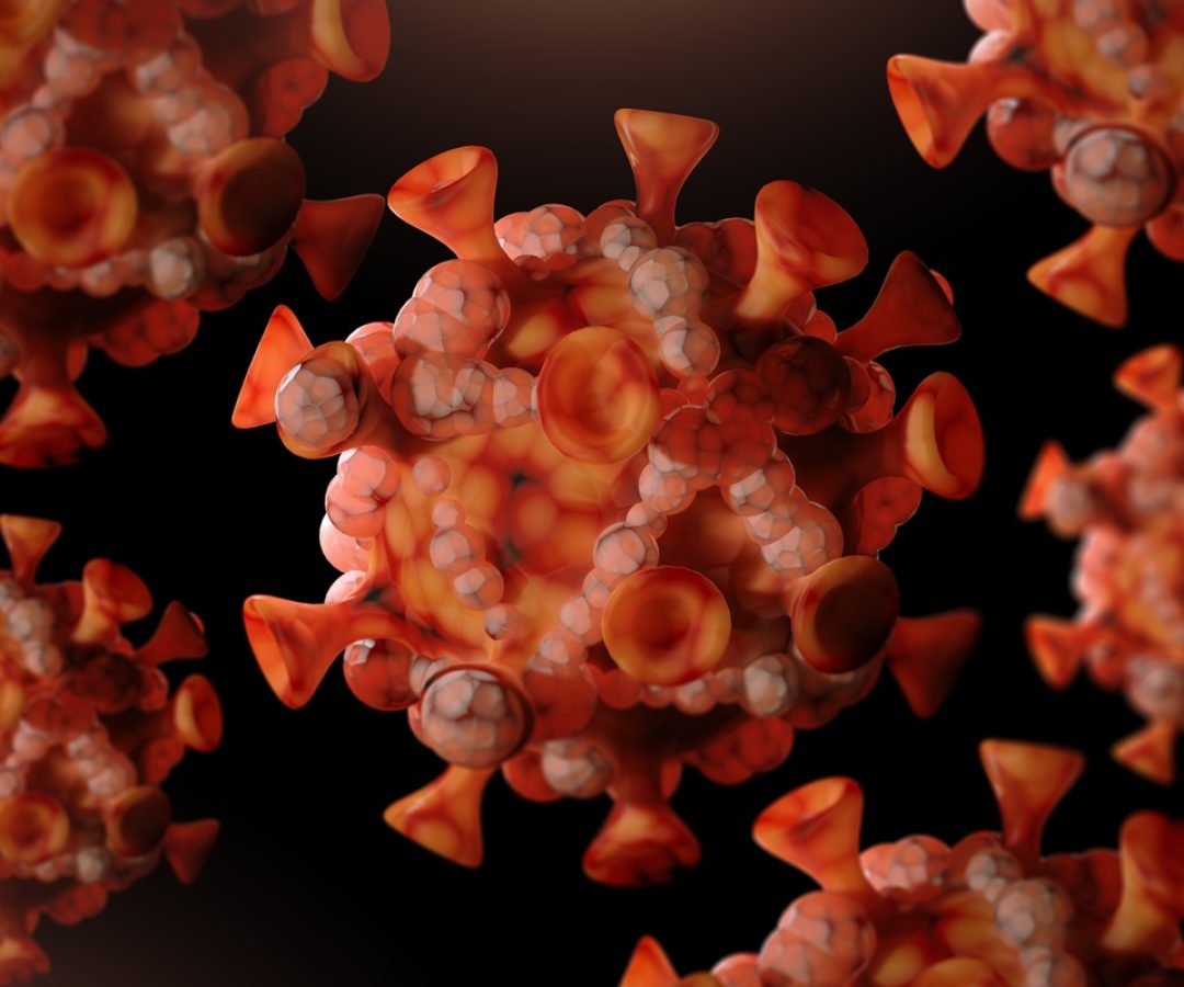 1 de 1 Imagem colorida mostra vírus mpox - Metrópoles - Foto: Uma Shankar sharma/Getty Images