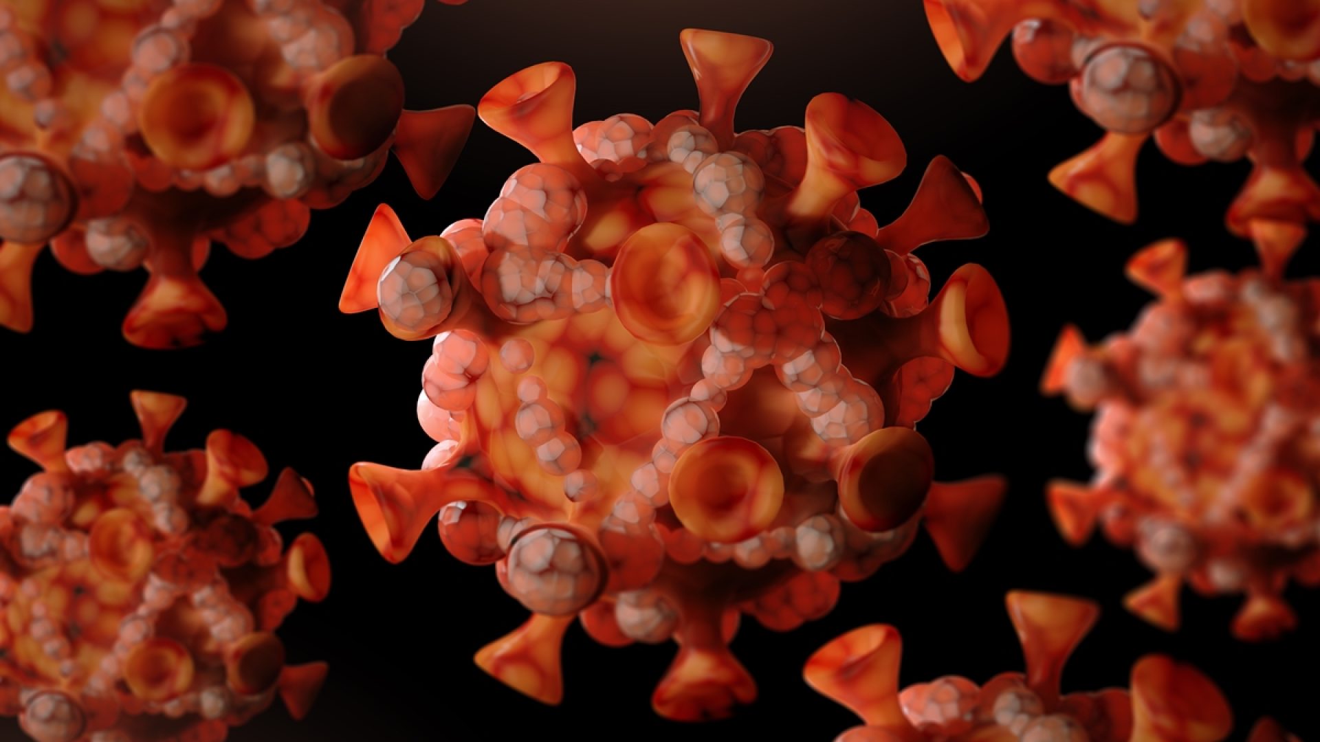 1 de 1 Imagem colorida mostra vírus mpox - Metrópoles - Foto: Uma Shankar sharma/Getty Images