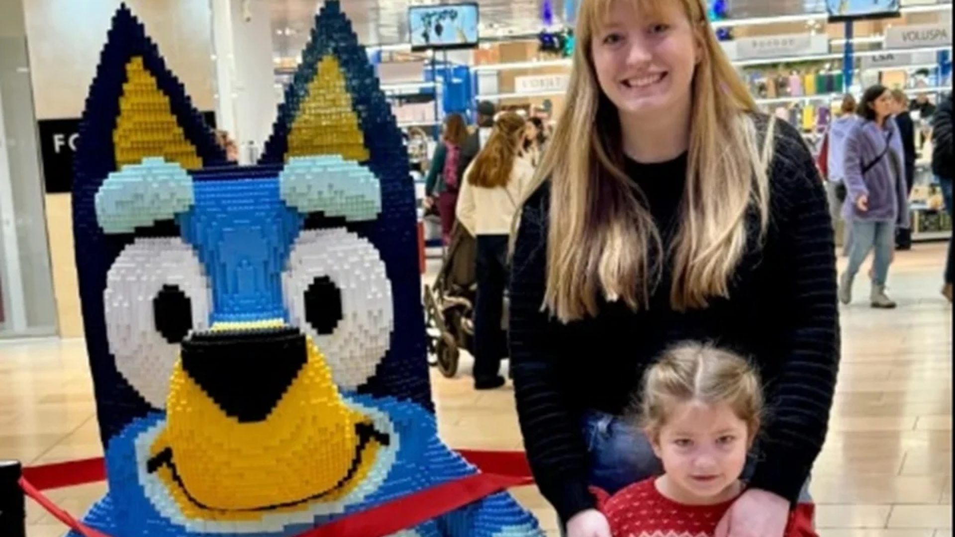 Louise van der Valk/GoFundMe