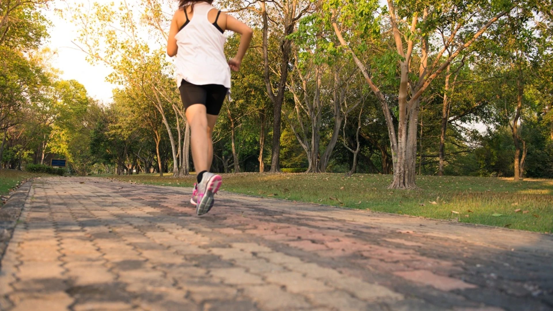 1 de 1 Jovem mulher correndo na mata, treinando e se exercitando para uma maratona de trilha ao n...