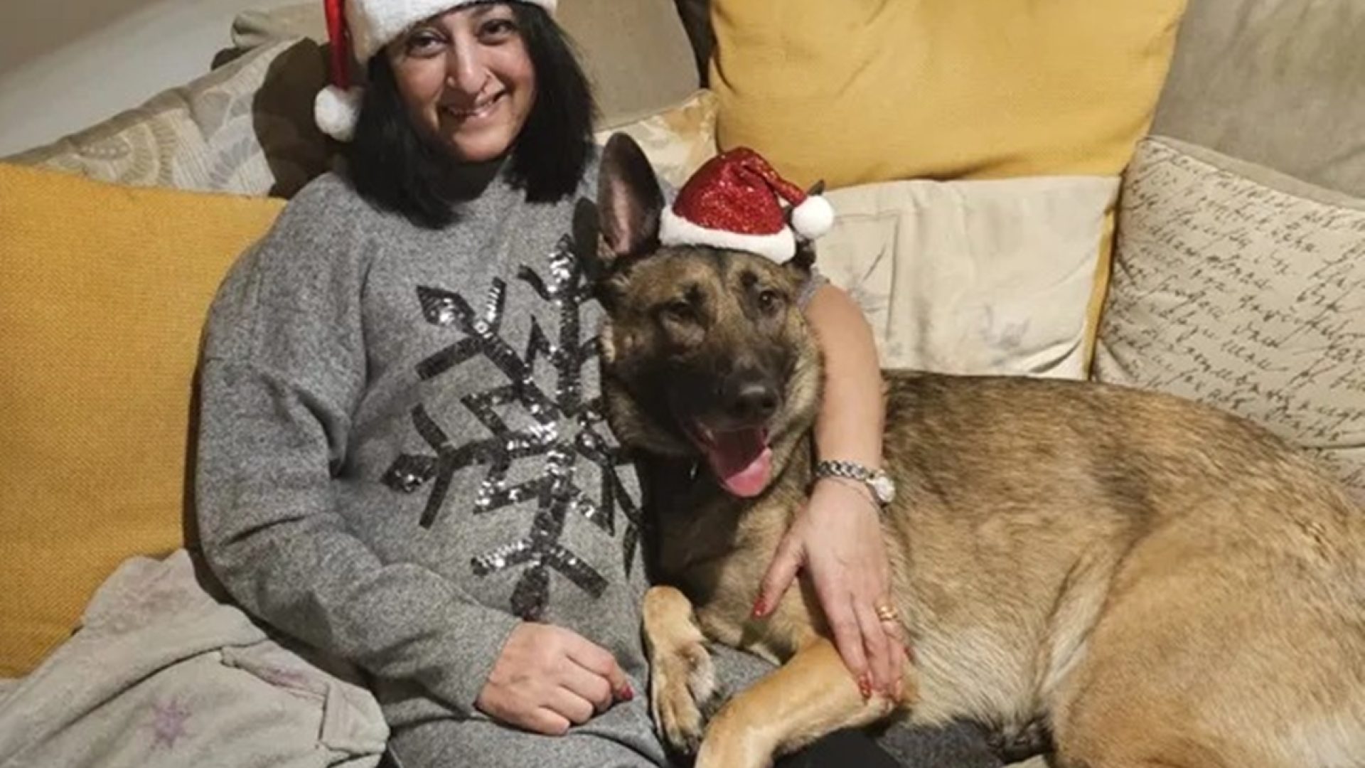 1 de 1 Foto colorida de mulher sentada em sofá ao lado de cachorro - Metrópoles. - Foto: Reprod...