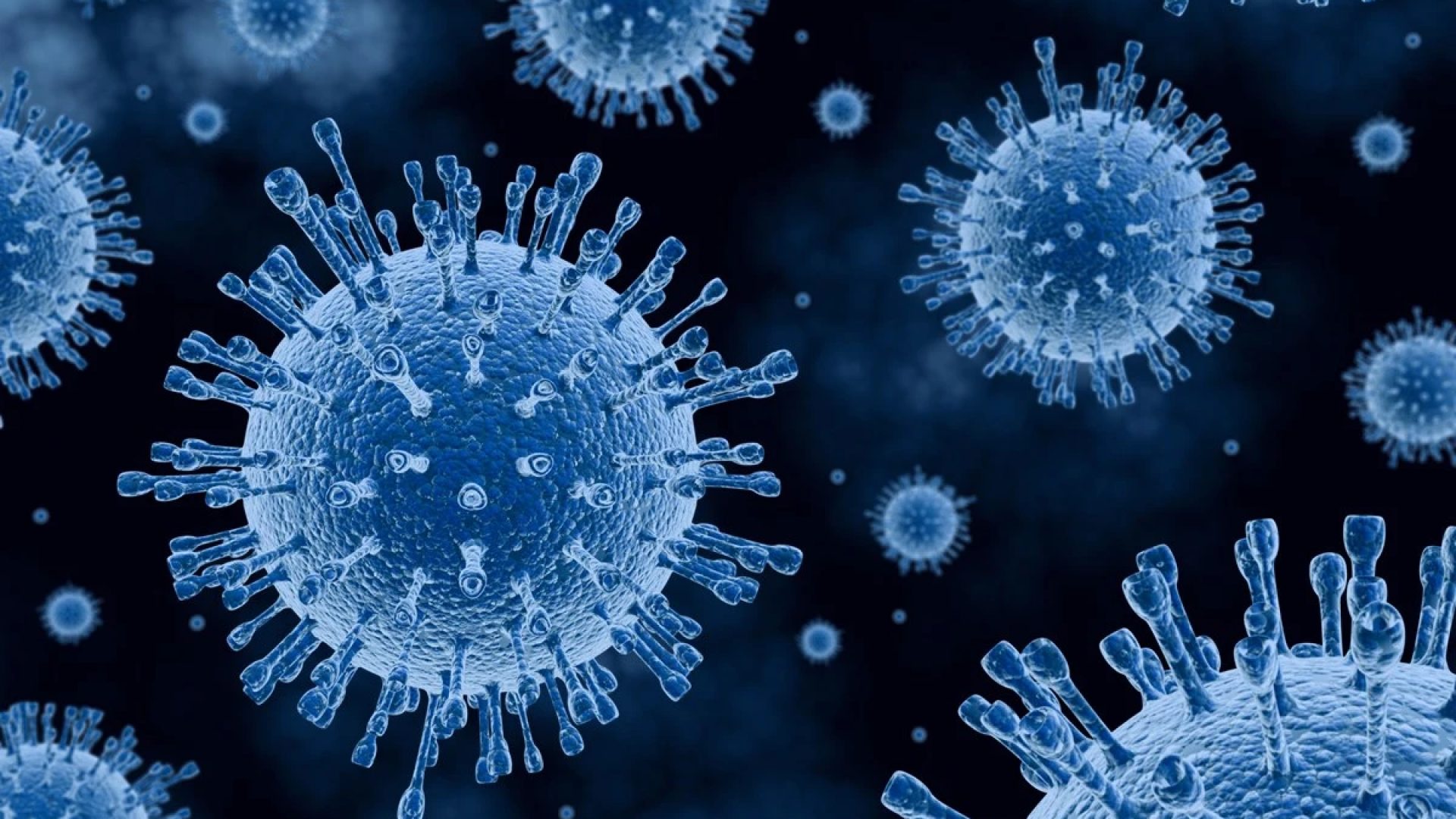 1 de 1 Ilustração em 3D de víurus da gripe - Casos graves de infecções respiratórias cresce...