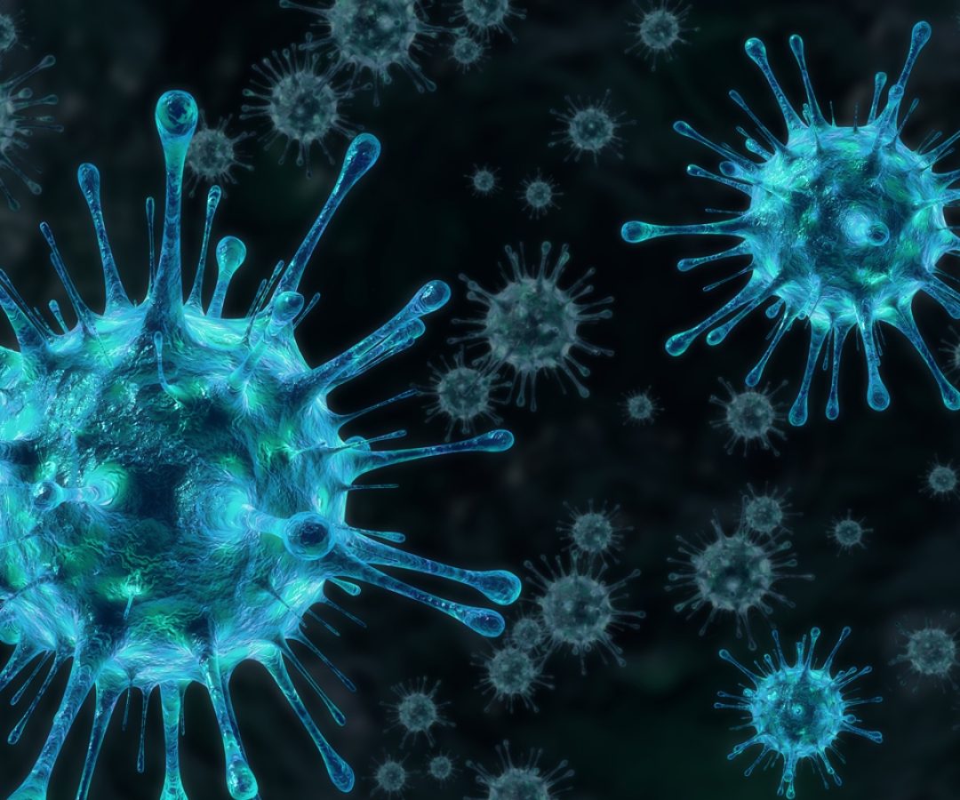 1 de 1 Ilustração vírus da gripe. gripe k. Metrópoles - Foto: hiloi/Getty Images